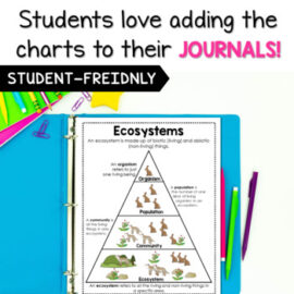 Science Posters And Anchor Charts (vol. 2) - Stellar Teaching Co.