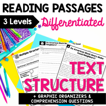 expository essay anchor chart 4th grade